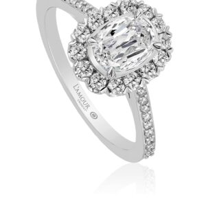 Simple Oval Engagement Ring with Halo and Diamond Band